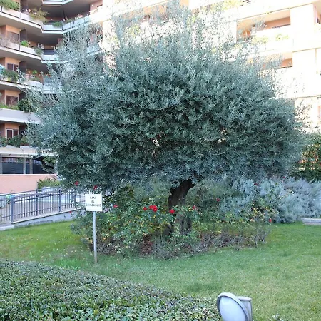 Bed & Breakfast Le Pleiadi Aeroporto *